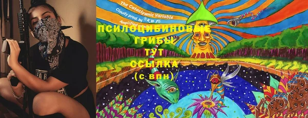 spice Лихославль
