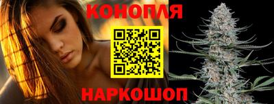 ALPHA PVP Гай