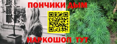 ALPHA PVP Гай
