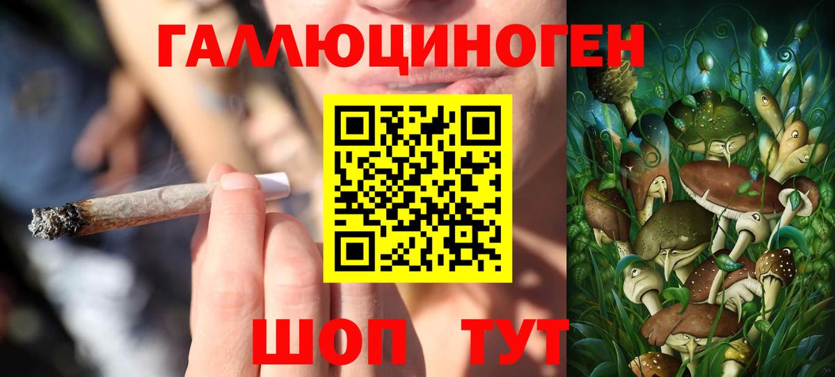 Зерноград  Псилоцибиновые грибы Magic Shrooms  Вход с VPN 